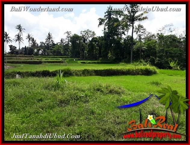 INVESTASI PROPERTY, TANAH di UBUD DIJUAL MURAH TJUB657