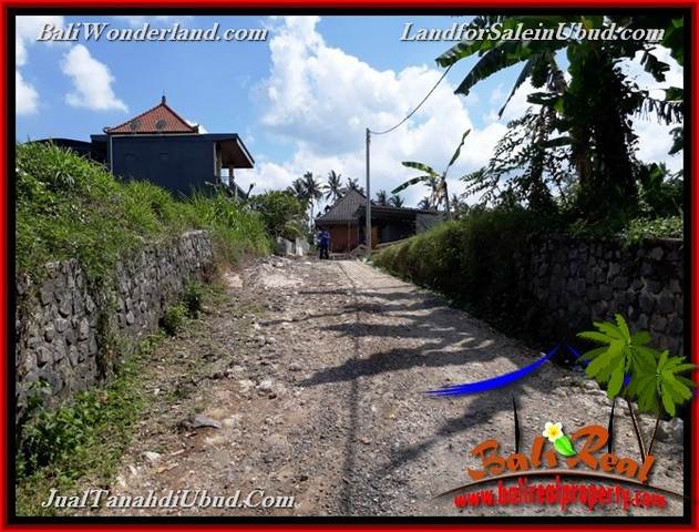 INVESTASI PROPERTY, TANAH di UBUD DIJUAL MURAH TJUB657