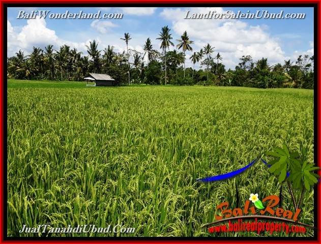 TANAH DIJUAL MURAH di UBUD BALI Untuk INVESTASI TJUB658