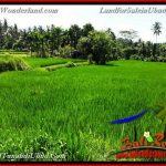 TANAH DIJUAL MURAH di UBUD BALI Untuk INVESTASI TJUB658