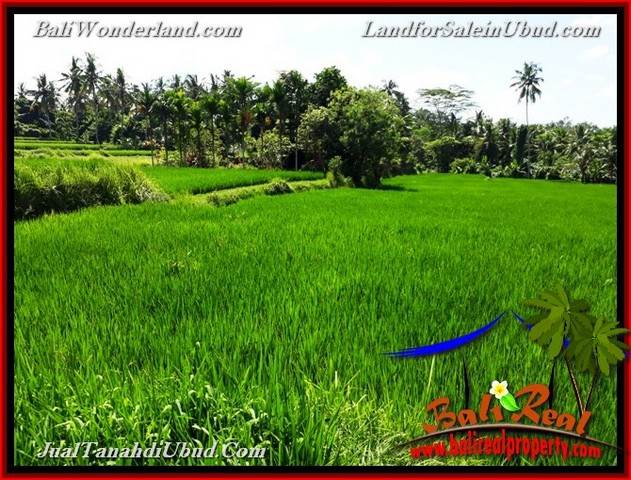 TANAH DIJUAL MURAH di UBUD BALI Untuk INVESTASI TJUB658