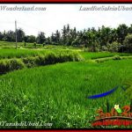 TANAH DIJUAL MURAH di UBUD BALI Untuk INVESTASI TJUB658