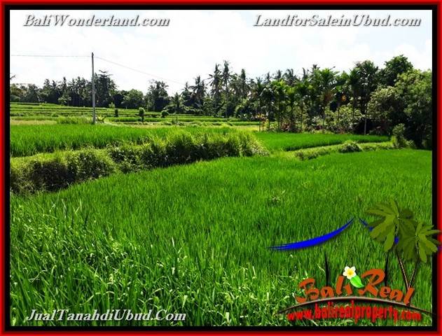 TANAH DIJUAL MURAH di UBUD BALI Untuk INVESTASI TJUB658