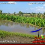 JUAL TANAH di UBUD BALI 4 Are di Ubud Gianyar