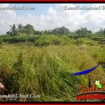 JUAL TANAH di UBUD BALI 4 Are di Ubud Gianyar