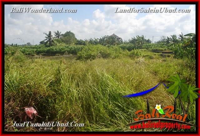 JUAL TANAH di UBUD BALI 4 Are di Ubud Gianyar