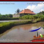 JUAL TANAH di UBUD BALI 4 Are di Ubud Gianyar