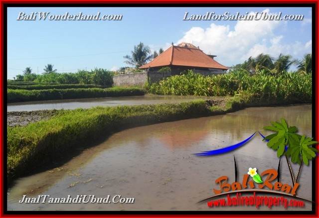 JUAL TANAH di UBUD BALI 4 Are di Ubud Gianyar