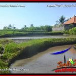 JUAL TANAH di UBUD BALI 4 Are di Ubud Gianyar