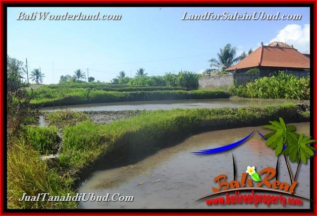 JUAL TANAH di UBUD BALI 4 Are di Ubud Gianyar