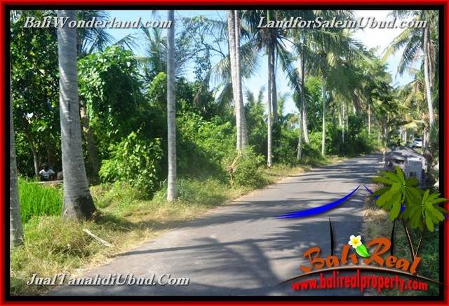 INVESTASI PROPERTI, TANAH di UBUD DIJUAL TJUB660