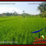 INVESTASI PROPERTI, TANAH di UBUD DIJUAL TJUB660