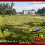 INVESTASI PROPERTI, TANAH di UBUD DIJUAL TJUB660