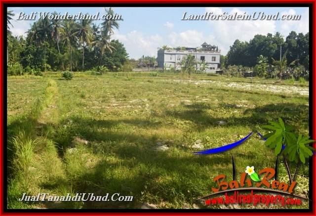 INVESTASI PROPERTI, TANAH di UBUD DIJUAL TJUB660