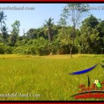 TANAH MURAH JUAL UBUD 40 Are View Kebun / tebing