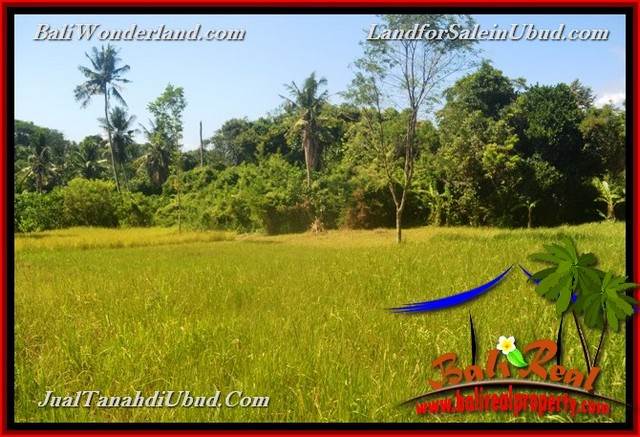 TANAH MURAH JUAL UBUD 40 Are View Kebun / tebing