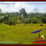 TANAH MURAH JUAL UBUD 40 Are View Kebun / tebing