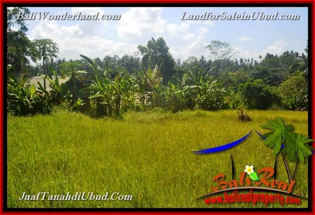 TANAH MURAH JUAL UBUD 40 Are View Kebun / tebing