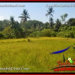 TANAH MURAH JUAL UBUD 40 Are View Kebun / tebing