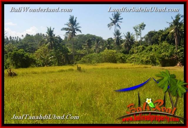 TANAH MURAH JUAL UBUD 40 Are View Kebun / tebing