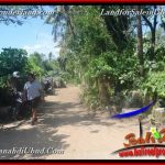 TANAH MURAH JUAL UBUD 40 Are View Kebun / tebing