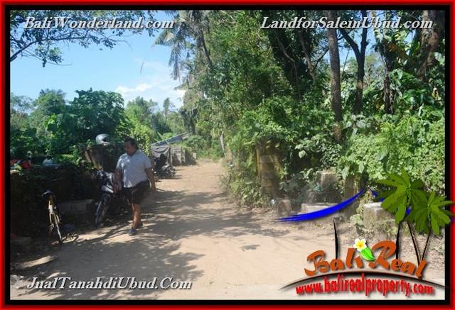 TANAH MURAH JUAL UBUD 40 Are View Kebun / tebing