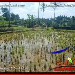 TANAH DIJUAL MURAH di UBUD BALI TJUB662