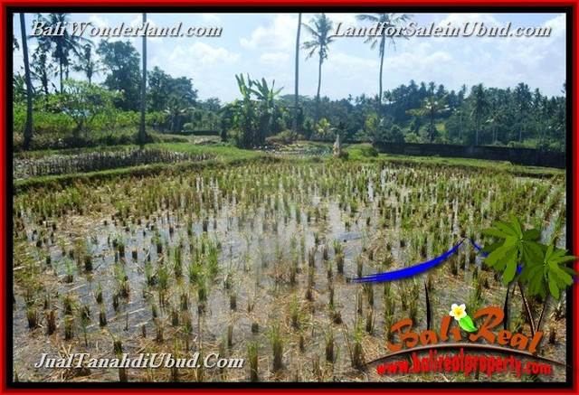 TANAH DIJUAL MURAH di UBUD BALI TJUB662