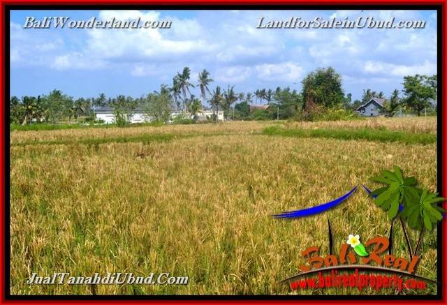 TANAH DIJUAL MURAH di UBUD BALI TJUB662