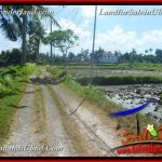 TANAH MURAH JUAL UBUD 12 Are View Sawah link Villa