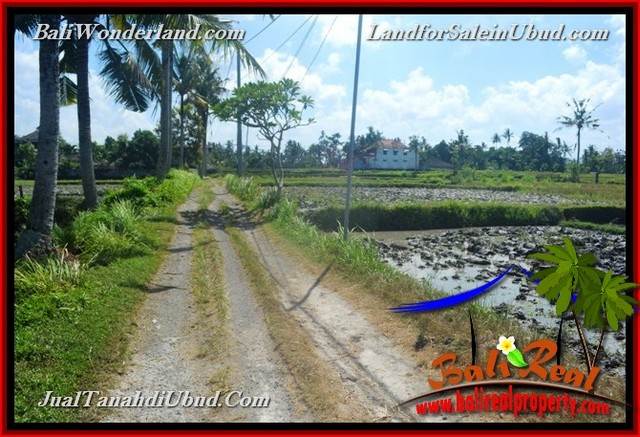 TANAH MURAH JUAL UBUD 12 Are View Sawah link Villa