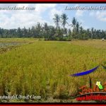 TANAH MURAH JUAL UBUD 12 Are View Sawah link Villa