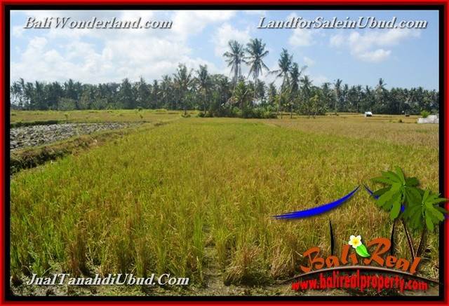 TANAH MURAH JUAL UBUD 12 Are View Sawah link Villa