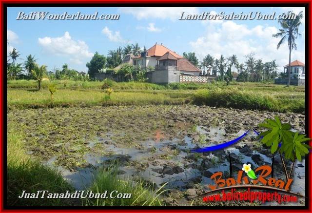 TANAH MURAH JUAL UBUD 12 Are View Sawah link Villa