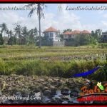 TANAH MURAH JUAL UBUD 12 Are View Sawah link Villa