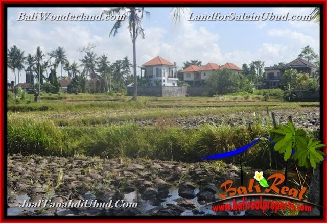 TANAH MURAH JUAL UBUD 12 Are View Sawah link Villa