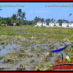 INVESTASI PROPERTY, JUAL TANAH MURAH di UBUD BALI TJUB664