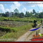 INVESTASI PROPERTY, JUAL TANAH MURAH di UBUD BALI TJUB664