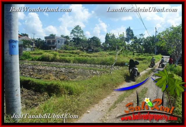 INVESTASI PROPERTY, JUAL TANAH MURAH di UBUD BALI TJUB664