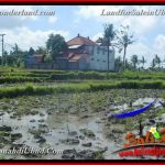 INVESTASI PROPERTY, JUAL TANAH MURAH di UBUD BALI TJUB664