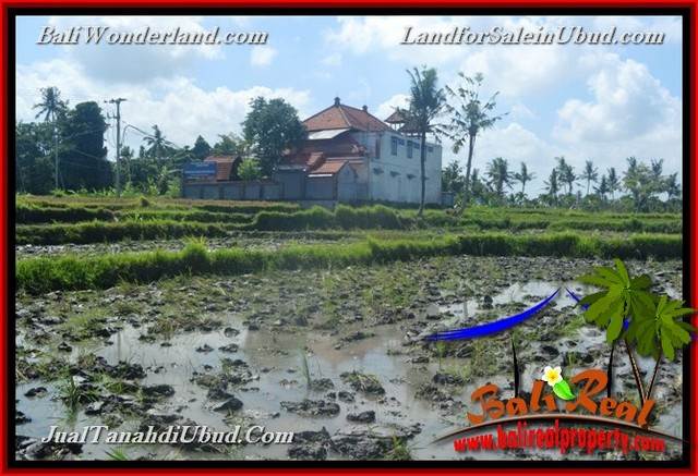 INVESTASI PROPERTY, JUAL TANAH MURAH di UBUD BALI TJUB664