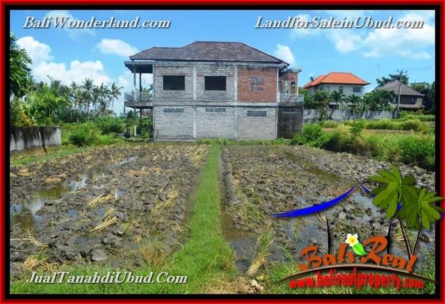 INVESTASI PROPERTY, JUAL TANAH MURAH di UBUD BALI TJUB664