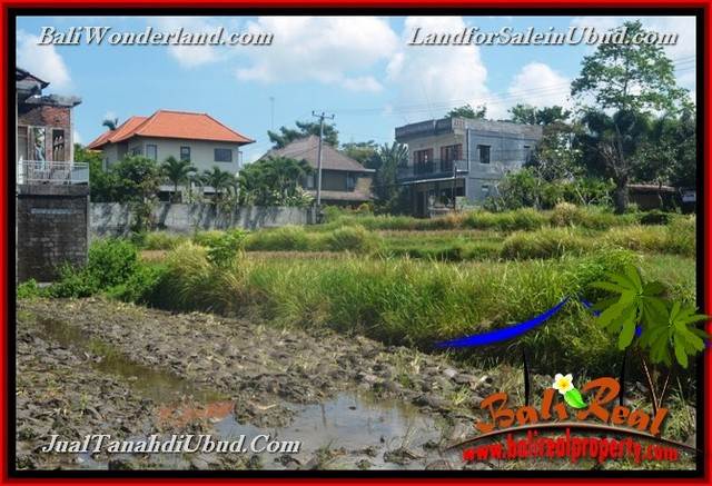 INVESTASI PROPERTY, JUAL TANAH MURAH di UBUD BALI TJUB664