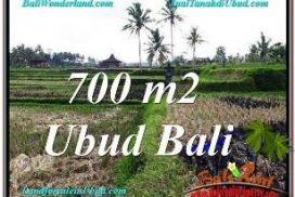 TANAH di UBUD JUAL MURAH 7 Are VIEW SAWAH, LINGKUNGAN VILLA