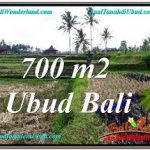 JUAL TANAH MURAH di UBUD 700 m2 VIEW SAWAH, LINGKUNGAN VILLA