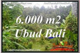 JUAL MURAH TANAH di UBUD BALI 60 Are VIEW SUNGAI DAN TEBING