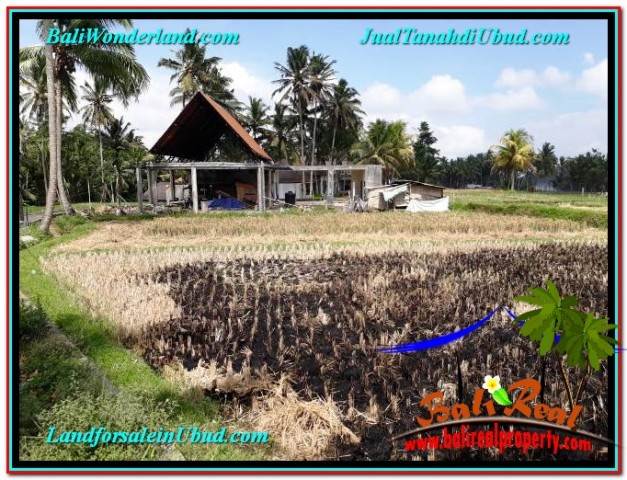 TANAH MURAH JUAL UBUD 7 Are VIEW SAWAH, LINGKUNGAN VILLA