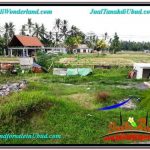 TANAH MURAH JUAL UBUD 7 Are VIEW SAWAH, LINGKUNGAN VILLA