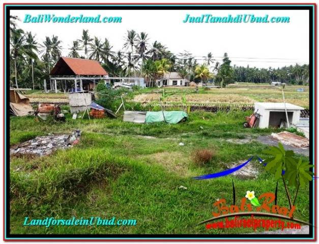 TANAH MURAH JUAL UBUD 7 Are VIEW SAWAH, LINGKUNGAN VILLA