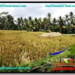 TANAH MURAH JUAL UBUD 7 Are VIEW SAWAH, LINGKUNGAN VILLA